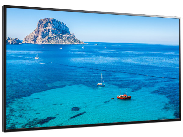 Monitor LED ViewSonic CDE4302 de 43