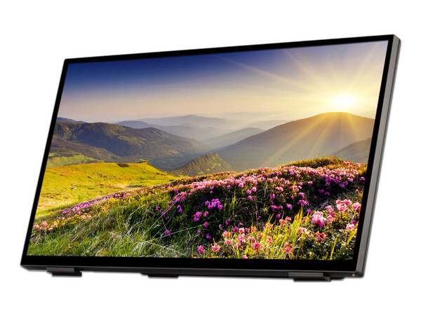 Monitor  Multi-Touch ViewSonic TD2465 de 24