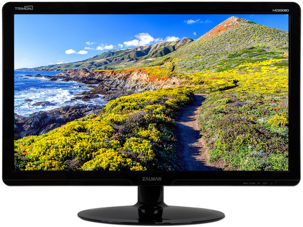 Monitor LED Zalman Trimon de 23