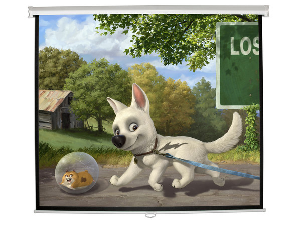 Pantalla para proyector de 87