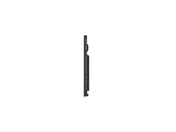 Pantalla Interactiva InFocus JTouch IN6513 de 65