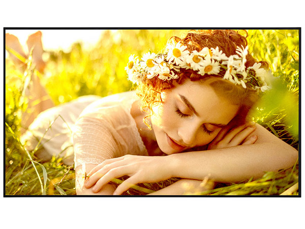 Televisión LG Signage 65UL5Q-M de 65