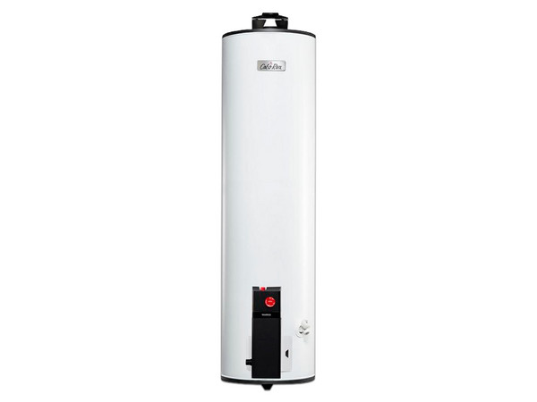 Boiler de Depósito Calorex G40 MAXIMUS, Gas Natural, 132 Litros, Color Blanco