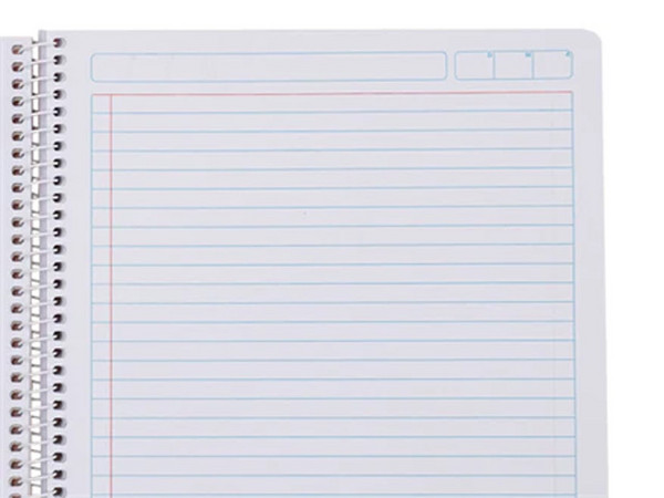 Cuaderno Nextep NE-007R Profesional Raya, 100 Hojas, Espiral.