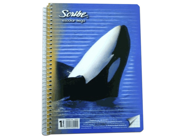 Cuaderno Scribe, Cuadro grande, Forma Francesa, espiral, 100 Hojas.