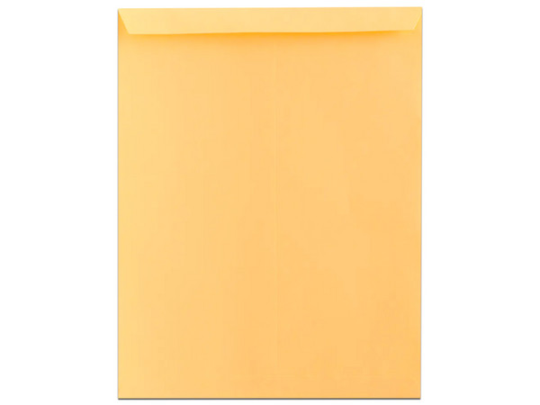 Sobre Manila Fortec B-40-RA, Radiografia, 25 Piezas, Color Amarillo.