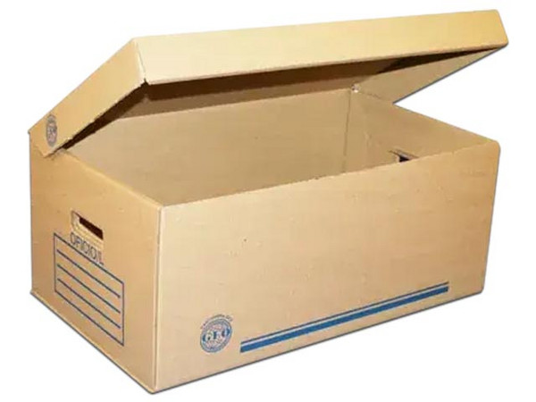 Caja Archivo GEO Oficio de Cartón Modelo 003, Medidas 60x35x25 cm, Colores Beige y Café.