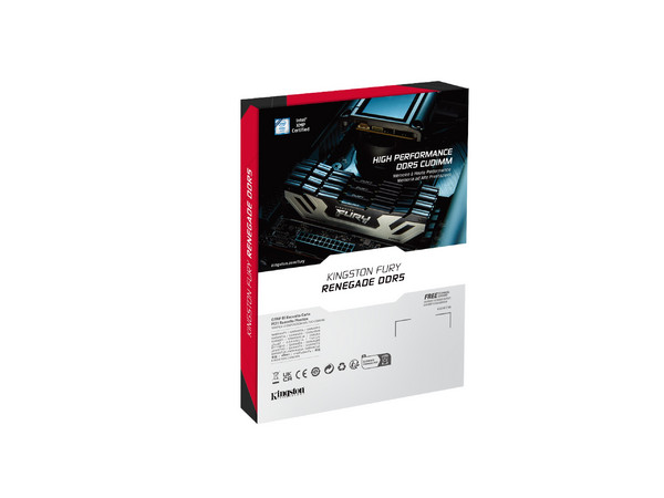 Memoria RAM Kingston DDR5 24GB CL42 8000MT/s, Fury Renegade, Silver, KF588CU42RS-24.