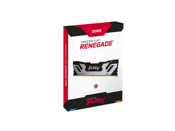 Memoria RAM Kingston DDR5 24GB CL42 8000MT/s, Fury Renegade, Silver, KF588CU42RS-24.