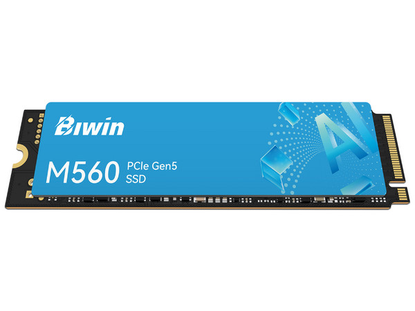 Unidad de Estado Sólido Biwin M560 de 1TB, Velocidad de Lectura 11000 MB/s, Velocidad de Escritura de 9700 MB/s, M.2 NVMe PCIe 5.0.