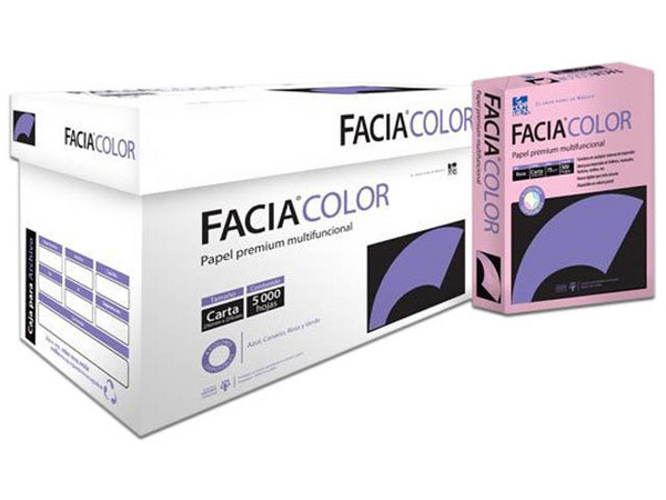 Papel Bond Multifuncional Copamex de Color Rosa, Tamaño Carta, 75 g/m. Caja con 5000 Hojas (10 Paquetes de 500 Hojas).