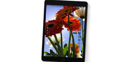 Funda Híbrida Classic para iPad de 10ª generación