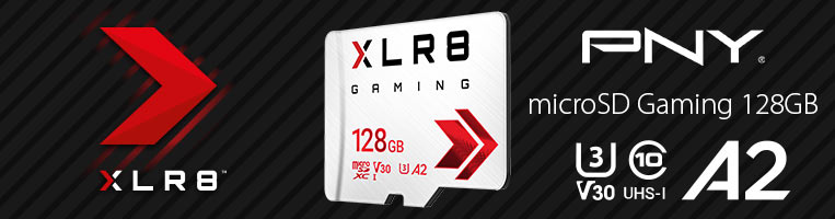 Memoria PNY XLR8 Gaming MicroSDXC UHS-I U3 de 128GB, Clase