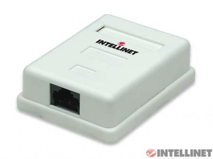 210881-inte