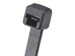 504846