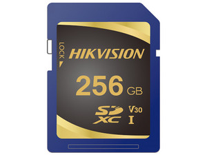 HS-SD-P10/256G