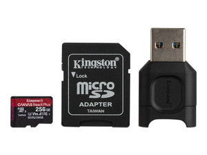 MLPMR2/256GB