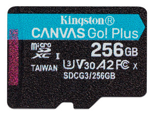 SDCG3/256GBSP