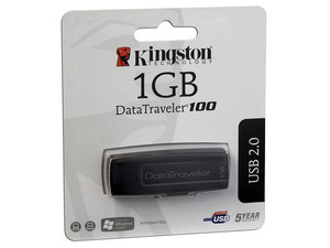 DT100/1GB