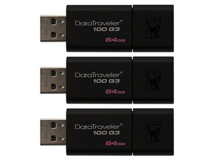 DT100G3/64GB-3P