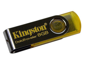 DT101Y/8GB