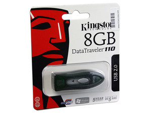 DT110G/8GB
