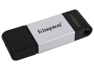 DT80/256GB
