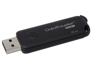 DTSE8/8GB