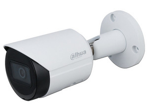 DH-IPC-HFW2431SN-S-S2-0280