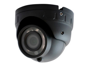 Cámara de Vigilancia IP Móvil Tipo Domo de 2MP, Micrófono Integrado, Anti Vibraciones, IP66, Color Negro.