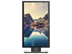 Monitor LED DELL P2018H de 19.5\