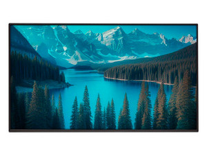Monitor de Señalización LG 55UM5N de 55", Resolución 3840 x 2160 (Ultra HD 4K), webOS, Color Negro.