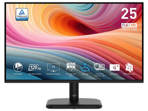 Monitor LED MSI Pro MP251L E2 de 24.5", Resolución 1920 x 1080 (Full HD 1080p), 4 ms, 120 Hz, Color Negro.