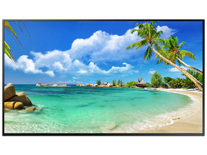 Monitor de señalización LED Samsung Signage QM43R de 43", Resolución 3840 x 2160 (Ultra HD 4K), 8 ms.
