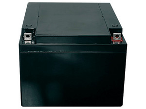 Batería de Repuesto Libre de Mantenimiento SAXXON CBAT24AH, 12v,  24 AH, Color Negro.
