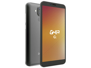 G1G