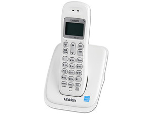 DECT 1363