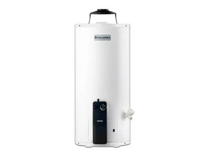Boiler Calorex Fortis G-40, Gas Natural