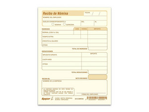 Recibo de Nomina Rayter, Tamaño Carta, Paquete de 25 Juegos (Copia y Original).