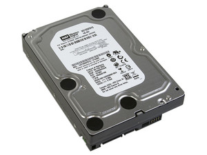 WD1002FBYS