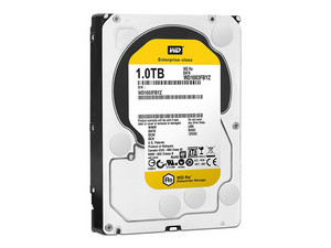 WD1003FBYZ