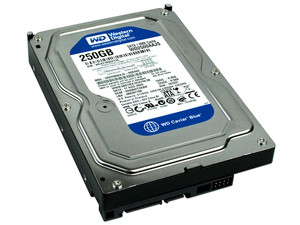 WD2500AAJS