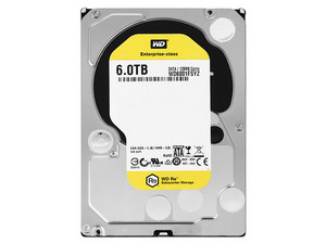 WD6001FSYZ