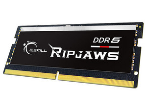 F5-4800S4039A16GX1-RS