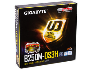 GA-B250M-DS3H