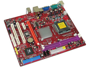 P53G