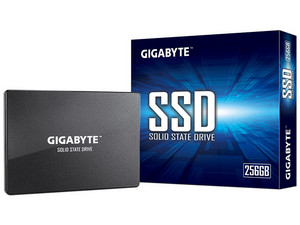 GP-GSTFS31256GTND