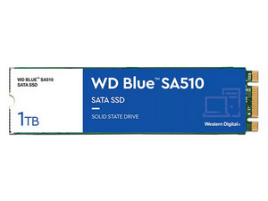 WDS100T3B0B