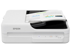 Escáner de Cama Plana Epson DS-1730, Resolución de 1200 x 1200DPI, USB, Dúplex, Color Blanco.