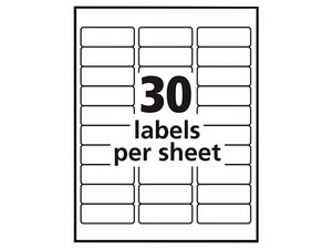 Si carga que te diviertas Paquete de etiquetas Avery 5160 con 3000 etiquetas blancas de 2.5 x 6.7cm.